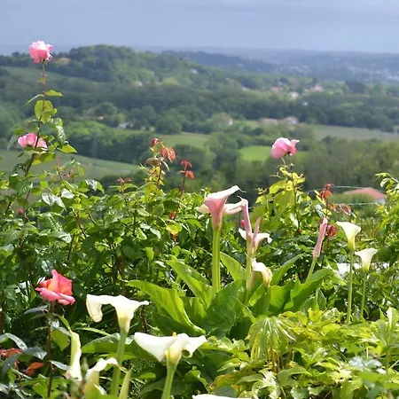 T3 Avec Terrasse Et Jardin à 4 Kms Des Plages 8 Mm St Jean De Luz Appartamento *